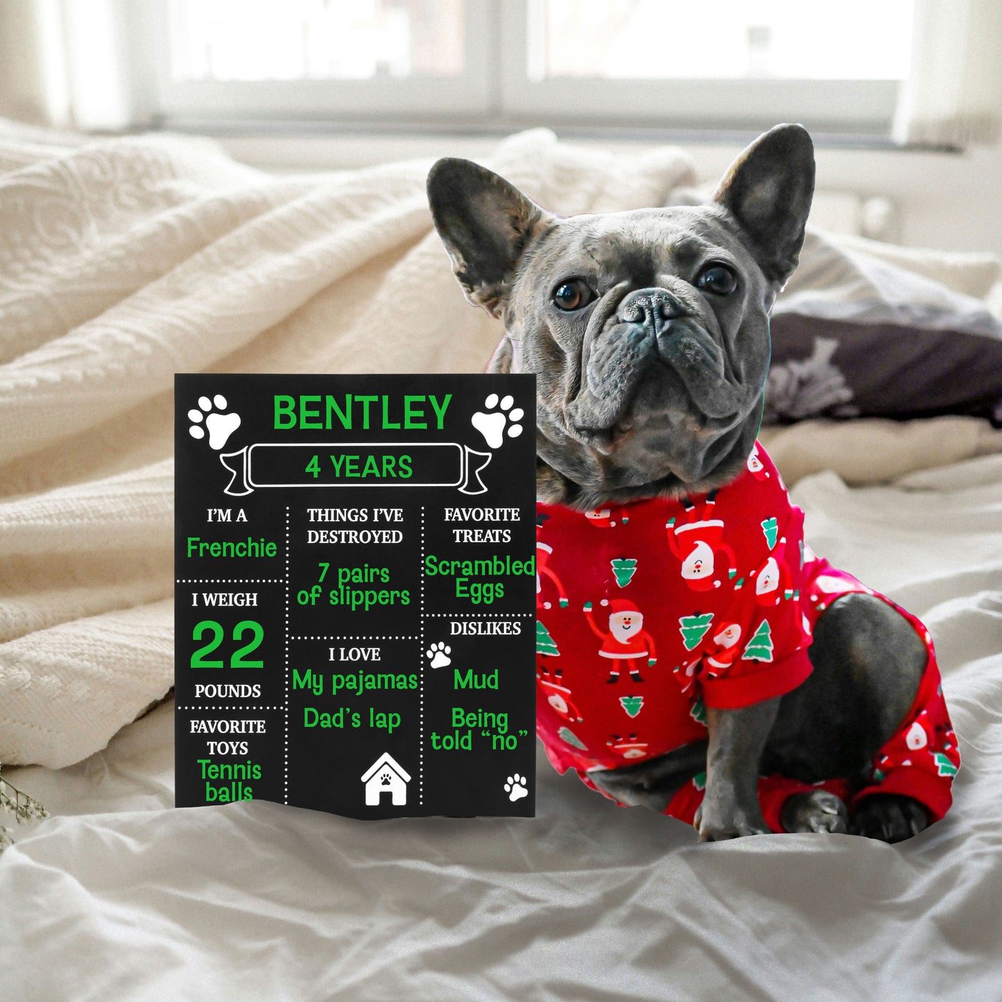 Dog Milestone Chalkboard Sign – Reusable Birthday Board for Puppies & Dogs