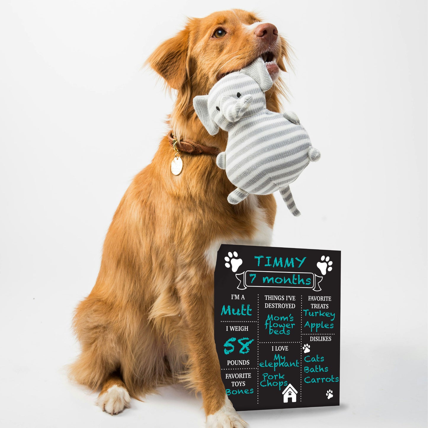 Dog Milestone Chalkboard Sign – Reusable Birthday Board for Puppies & Dogs