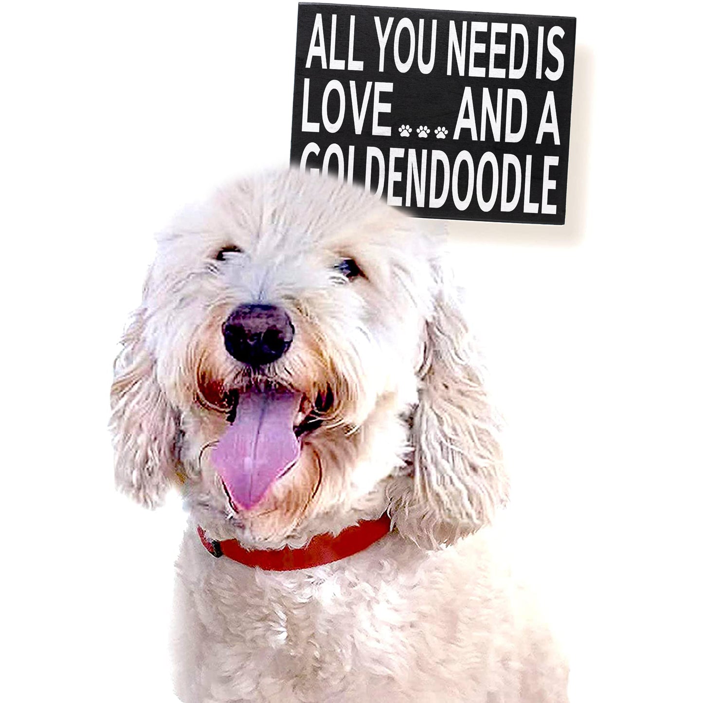 JennyGems All You Need is Love and A Goldendoodle - Goldendoodle Gift, Goldendoodle Quotes, Goldendoodle Moms - Goldendoodle Sign Signs