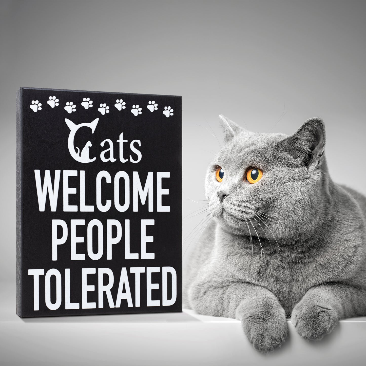 Cats Welcome People Tolerated Sign