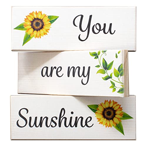 You Are My Sunshine Decor