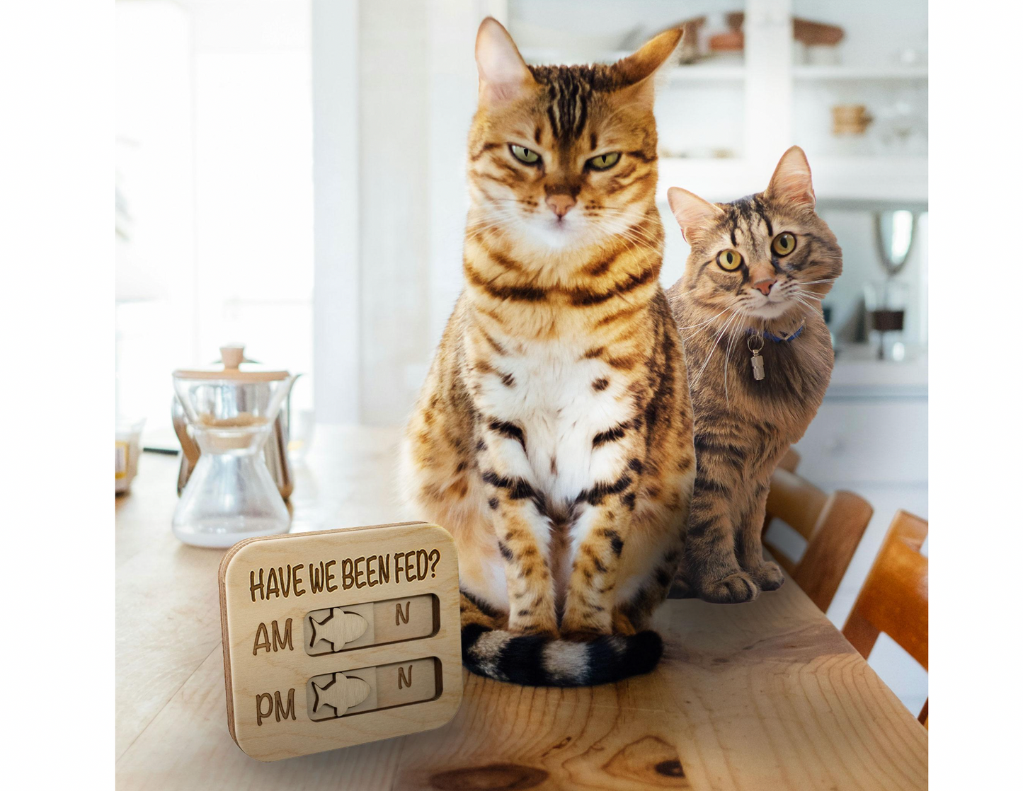 Cat Feeding Reminder Magnet, Have We Been Fed, Cat Feeding Tracker AM PM, Feed the Cat, Wooden Reminder Slider for Fridge