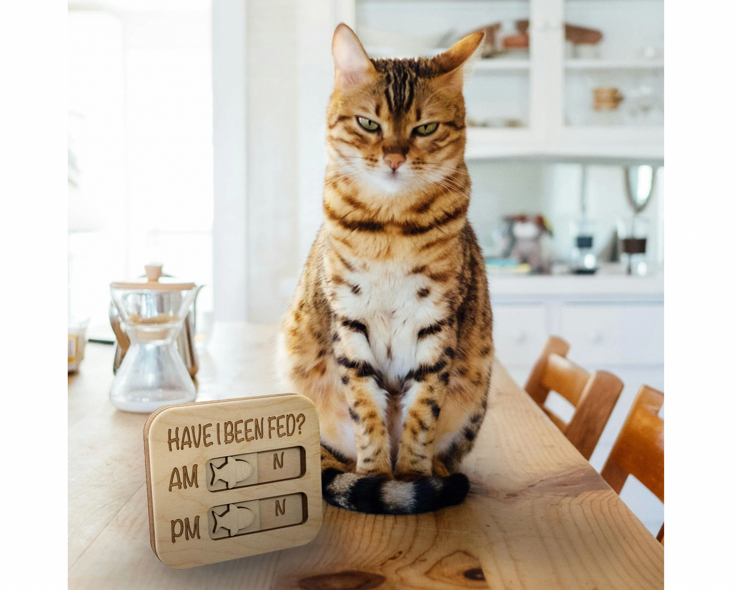 Cat Feeding Reminder Magnet, Have I Been Fed, Cat Feeding Tracker AM PM, Feed the Cat, Wooden Reminder Slider for Fridge (Copy)