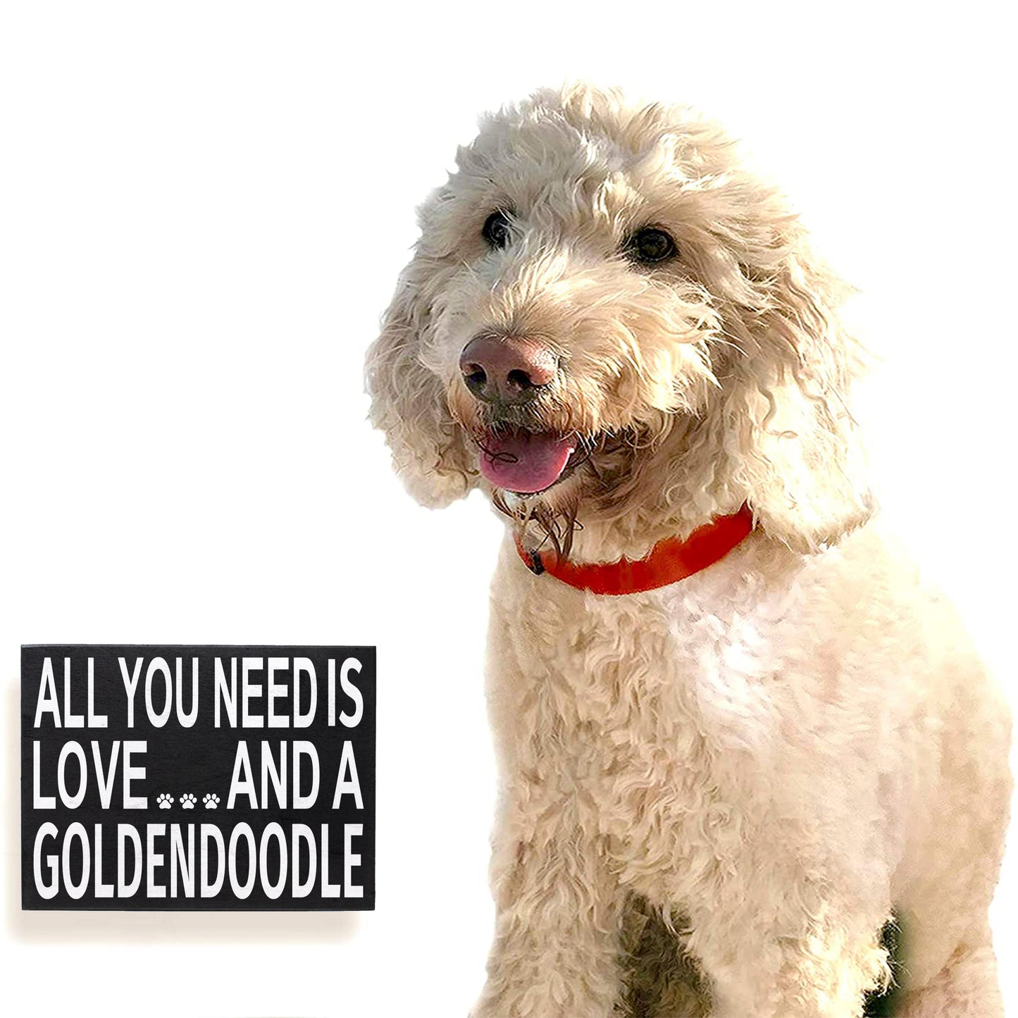 JennyGems All You Need is Love and A Goldendoodle - Goldendoodle Gift, Goldendoodle Quotes, Goldendoodle Moms - Goldendoodle Sign Signs