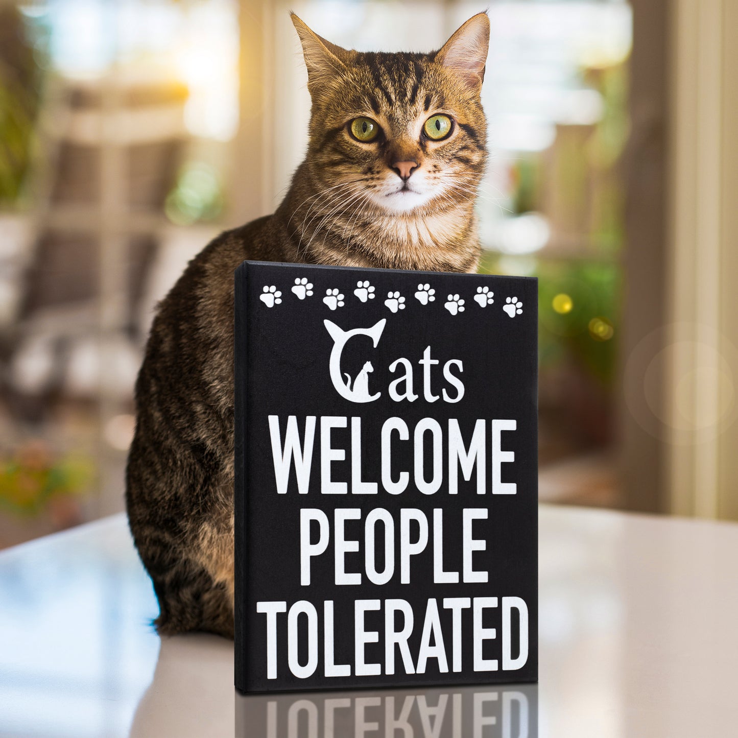 Cats Welcome People Tolerated Sign