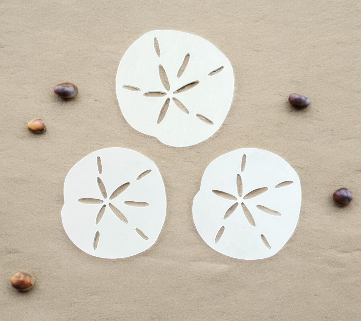 PVC Sand Dollar Set: Weatherproof Coastal Wall Art