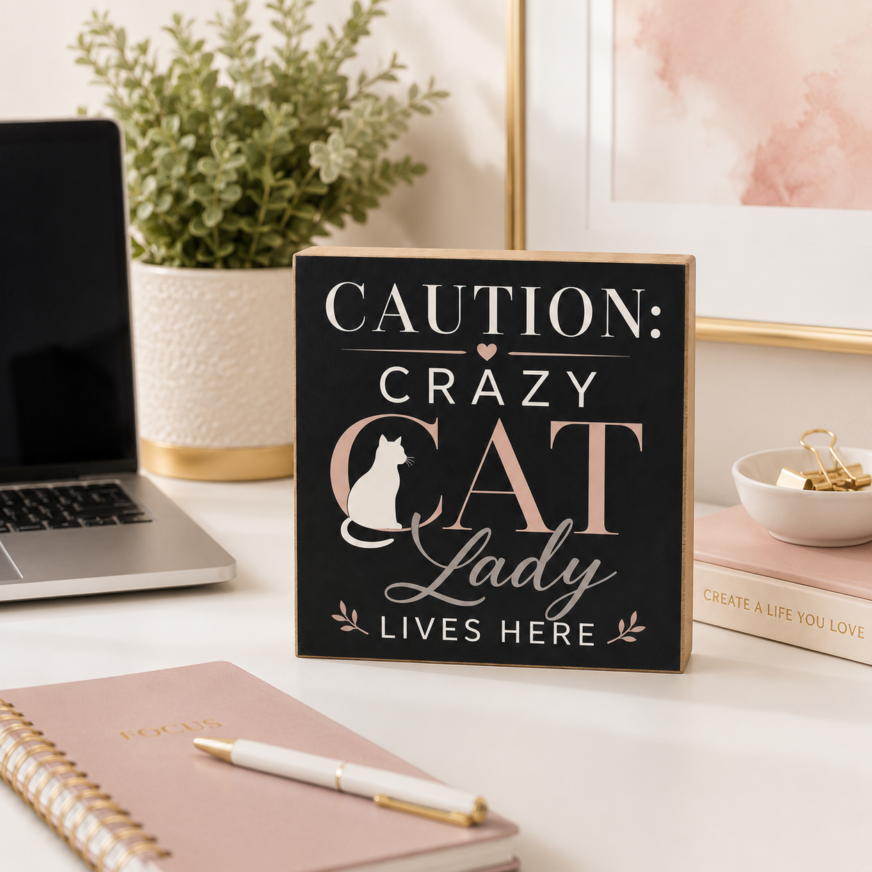 Caution Crazy Cat Lady Lives Here Sign