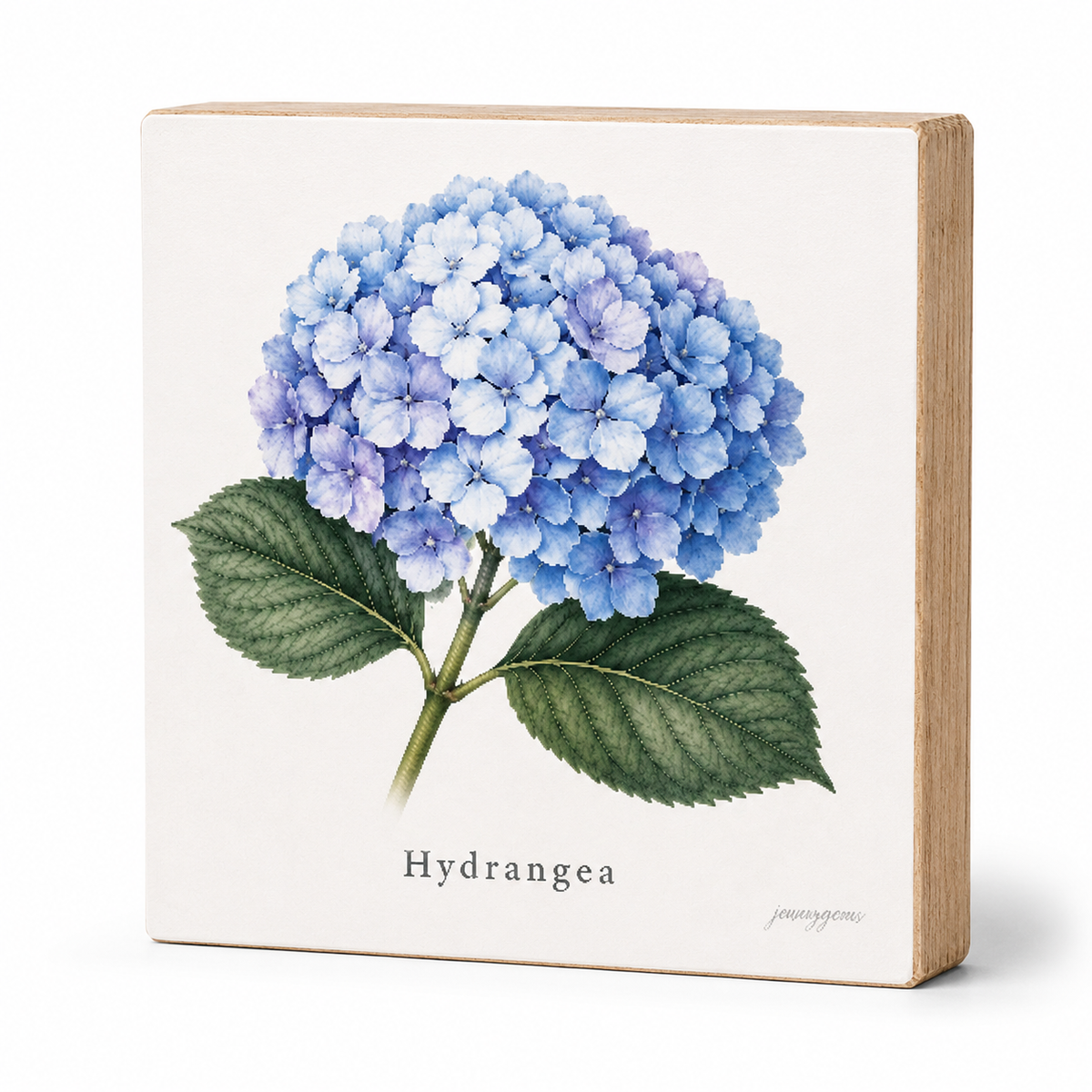 A square wooden block sign featuring a botanical illustration of a blue hydrangea with green leaves on an off-white background, with the word 'Hydrangea' printed below.