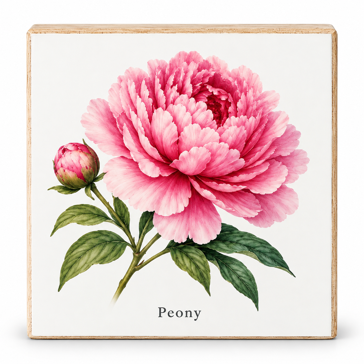 A square decorative plaque or tile featuring a watercolor-style pink peony flower with green leaves on an off-white background, with the word 'Peony' printed below. The item has a light natural wood border and is photographed against a clean white background.