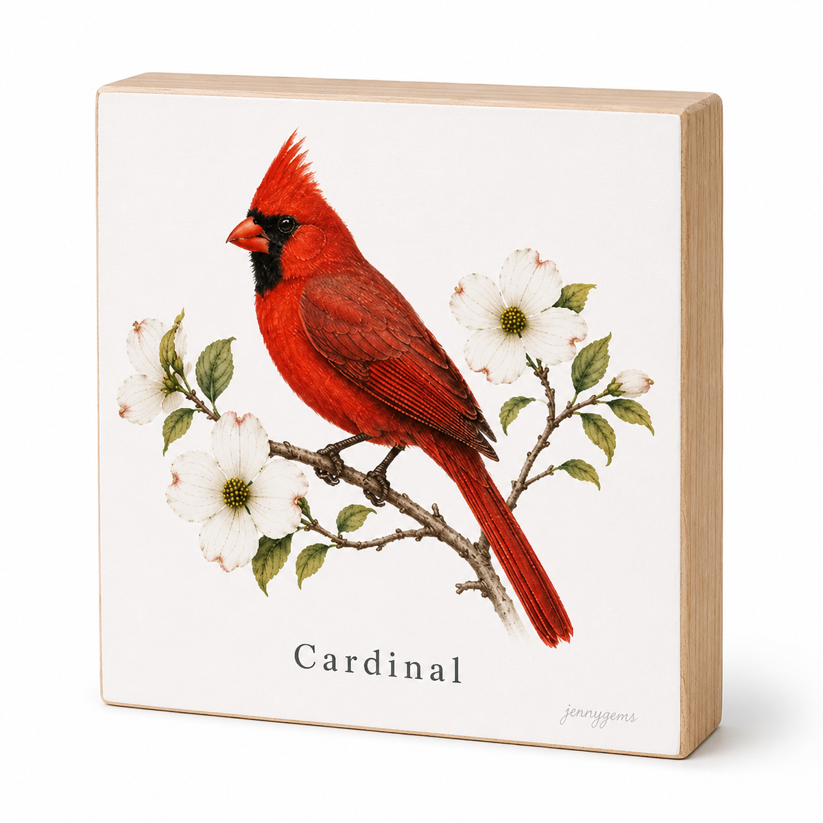 A square wooden block sign featuring a detailed illustration of a cardinal bird perched on a branch with white flowers, on a warm off-white background. The word 'Cardinal' is printed below the illustration, and the brand name 'jennysions' appears in the bottom right corner.