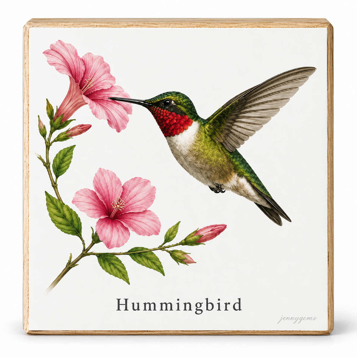 A square decorative wall sign featuring an illustrated hummingbird perched on pink flowers, with the word "Hummingbird" printed below. The artwork is centered on a white background with a light natural wood border.