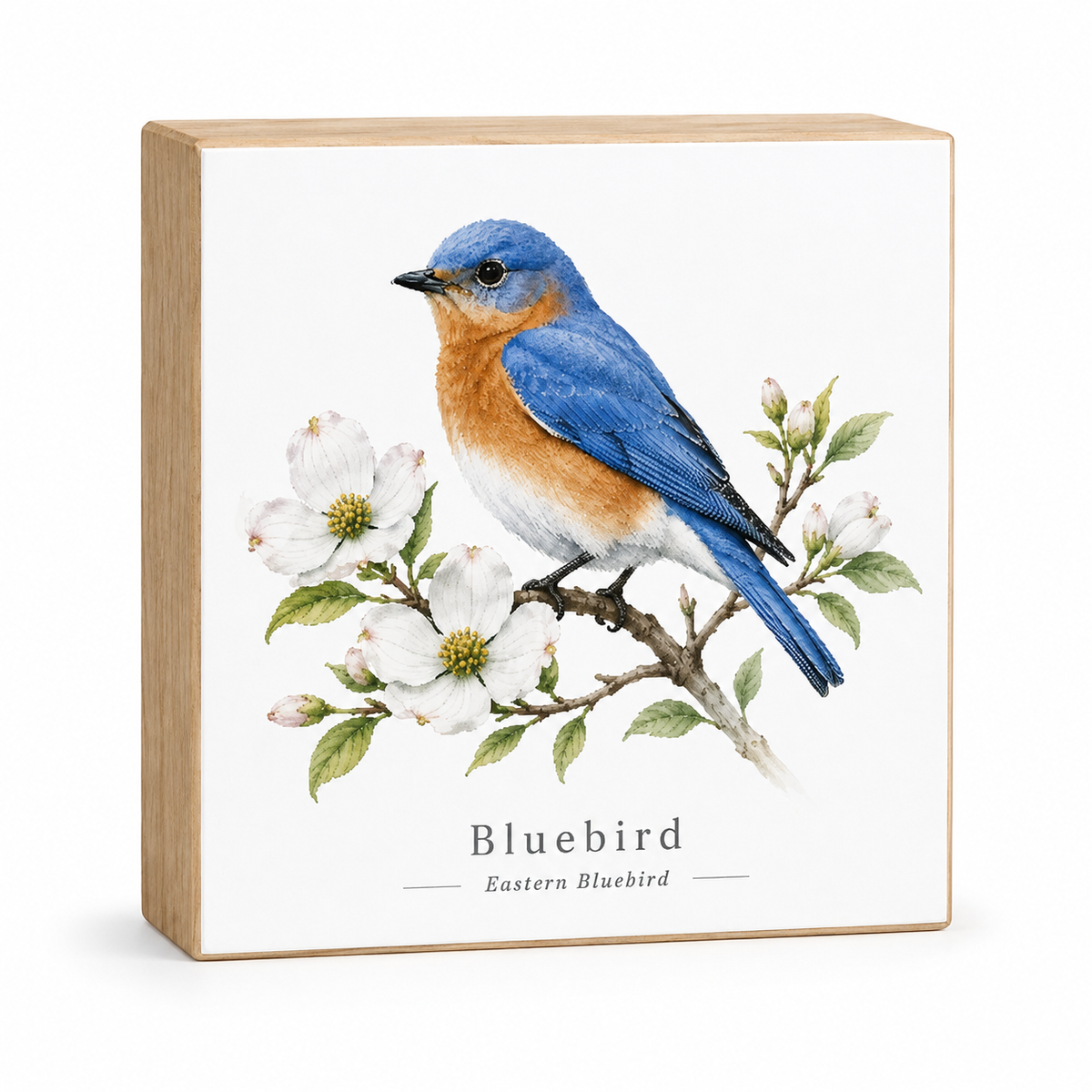 A square decorative block with a light natural wood frame and a white front panel featuring a detailed illustration of an Eastern Bluebird perched on a flowering branch. The text 'Bluebird' and 'Eastern Bluebird' appears below the bird.