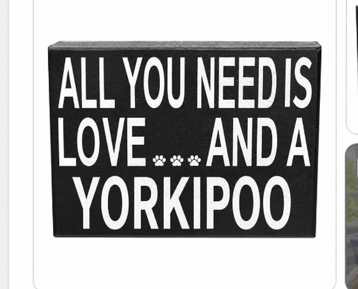 A rectangular black sign with bold white text reading 'ALL YOU NEED IS LOVE.