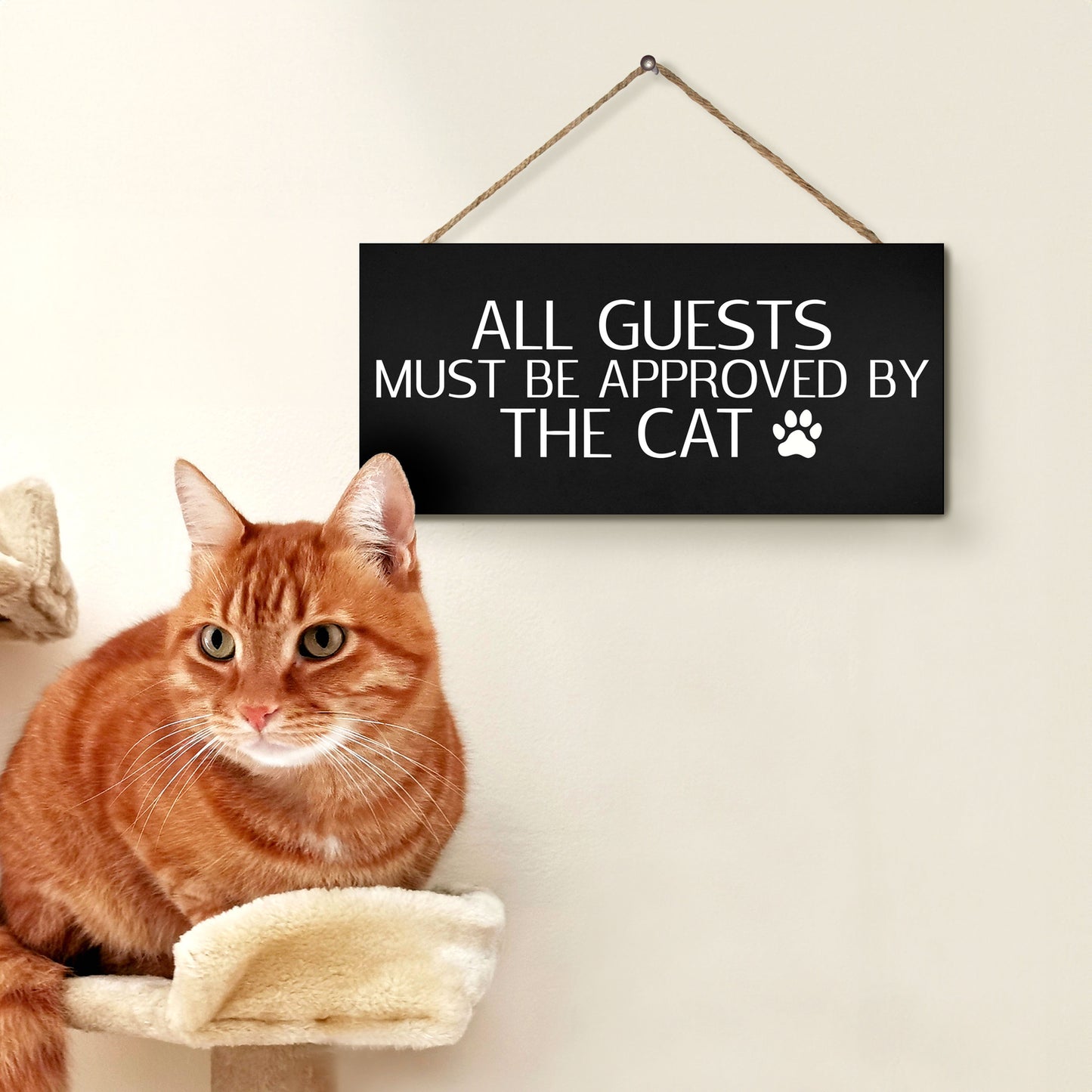JennyGems Cat Gifts, All Guests Must Be Approved By the Cat Wood Sign