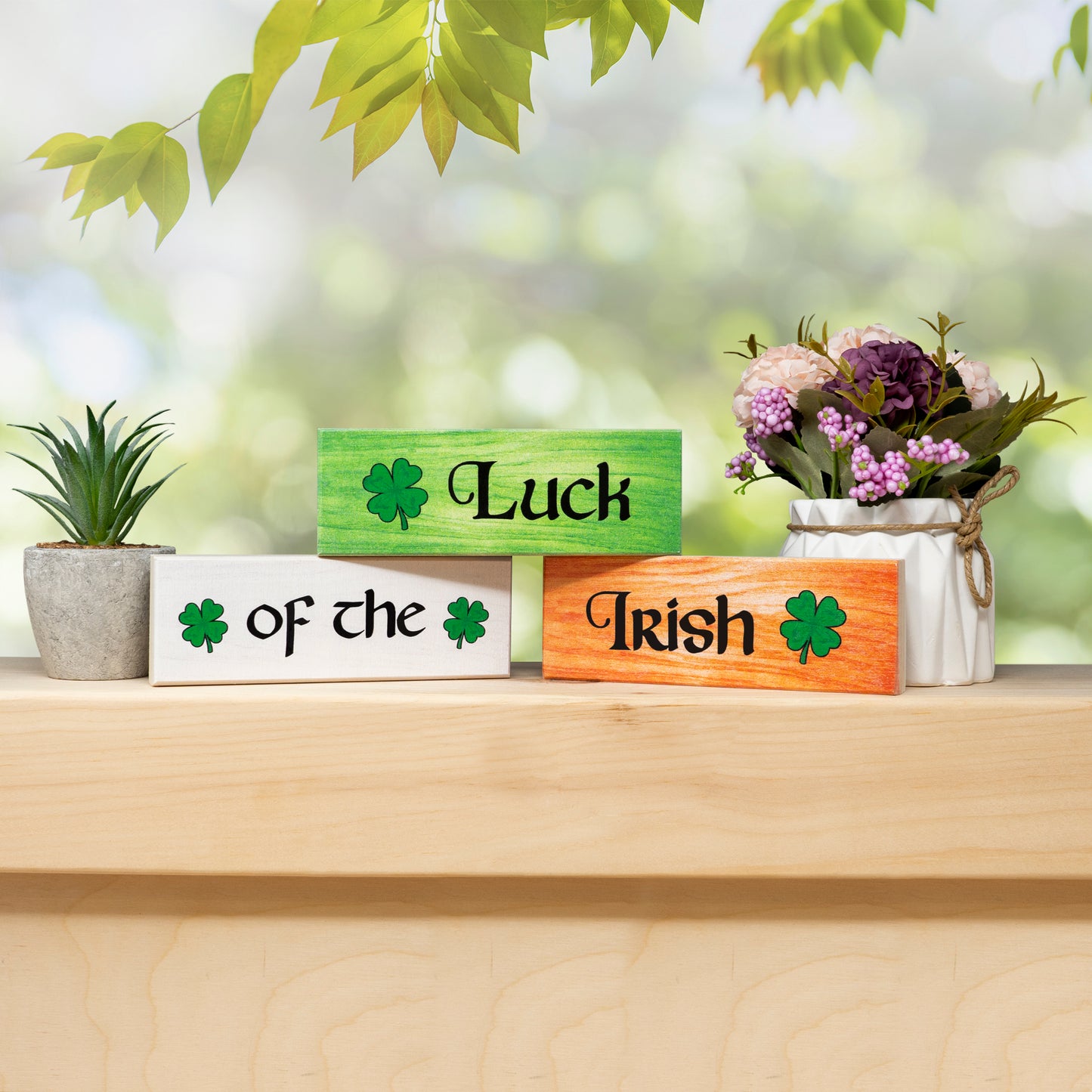 St Patricks Day Decorations Gift, Luck of the Irish Decor Set