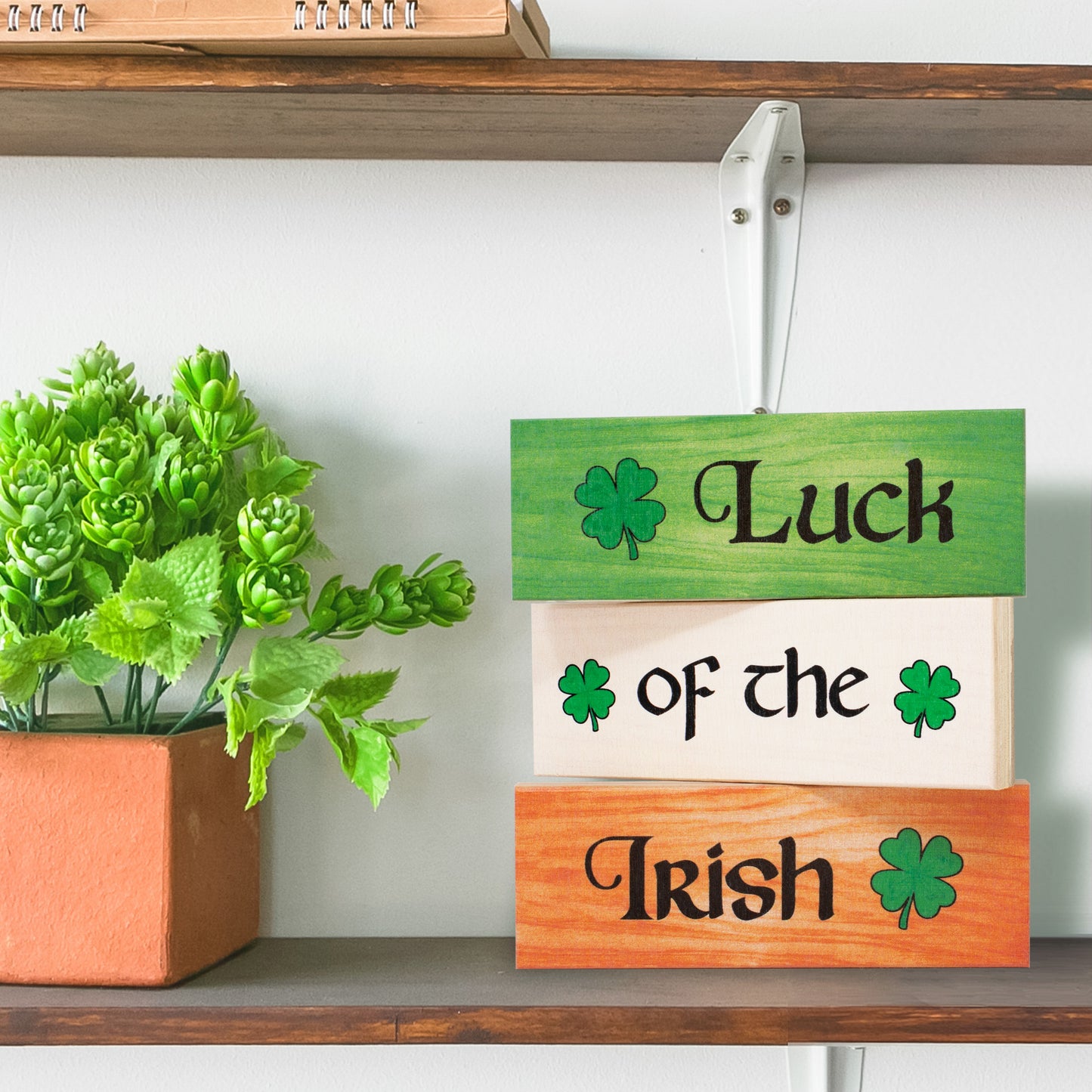 St Patricks Day Decorations Gift, Luck of the Irish Decor Set