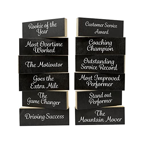 JennyGems Employee Recognition Gifts, Employee Appreciation Gifts, Motivation Gifts for Coworkers, Team Gifts, Employee Thank You Gifts Appreciation, Achievements/Recognition