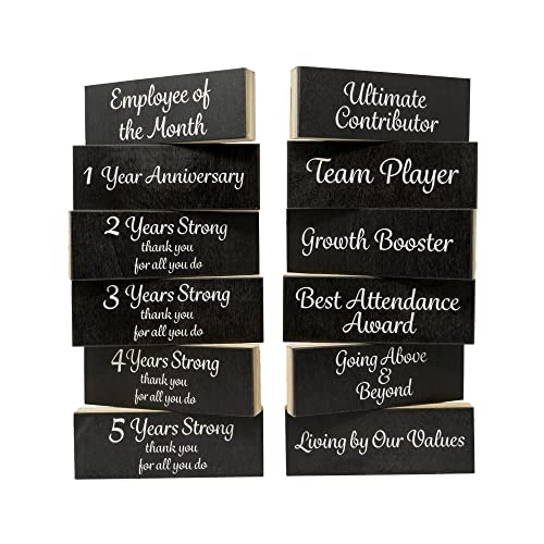 JennyGems Employee Recognition Gifts, Employee Appreciation Gifts, Motivation Gifts for Coworkers, Team Gifts, Employee Thank You Gifts Appreciation, Achievements/Recognition