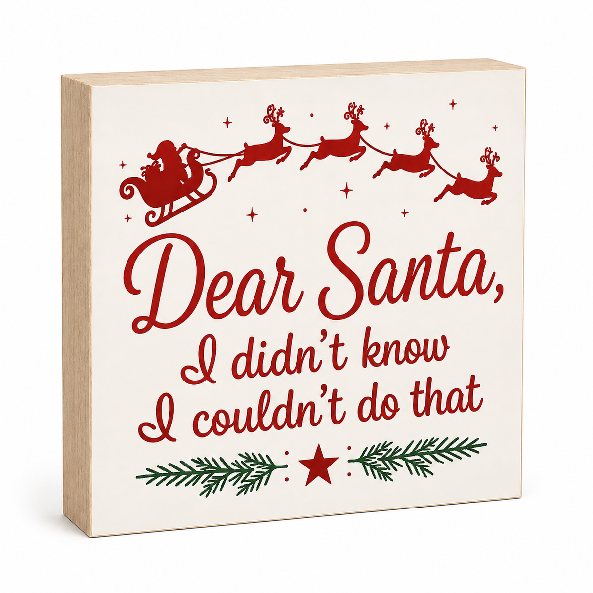 A square wooden Christmas sign with a light natural wood border and an off-white face, printed with red text reading 'Dear Santa, I didn't know I couldn't do that' and a red Santa with reindeer silhouette above, plus a green pine garland and red star at the bottom.