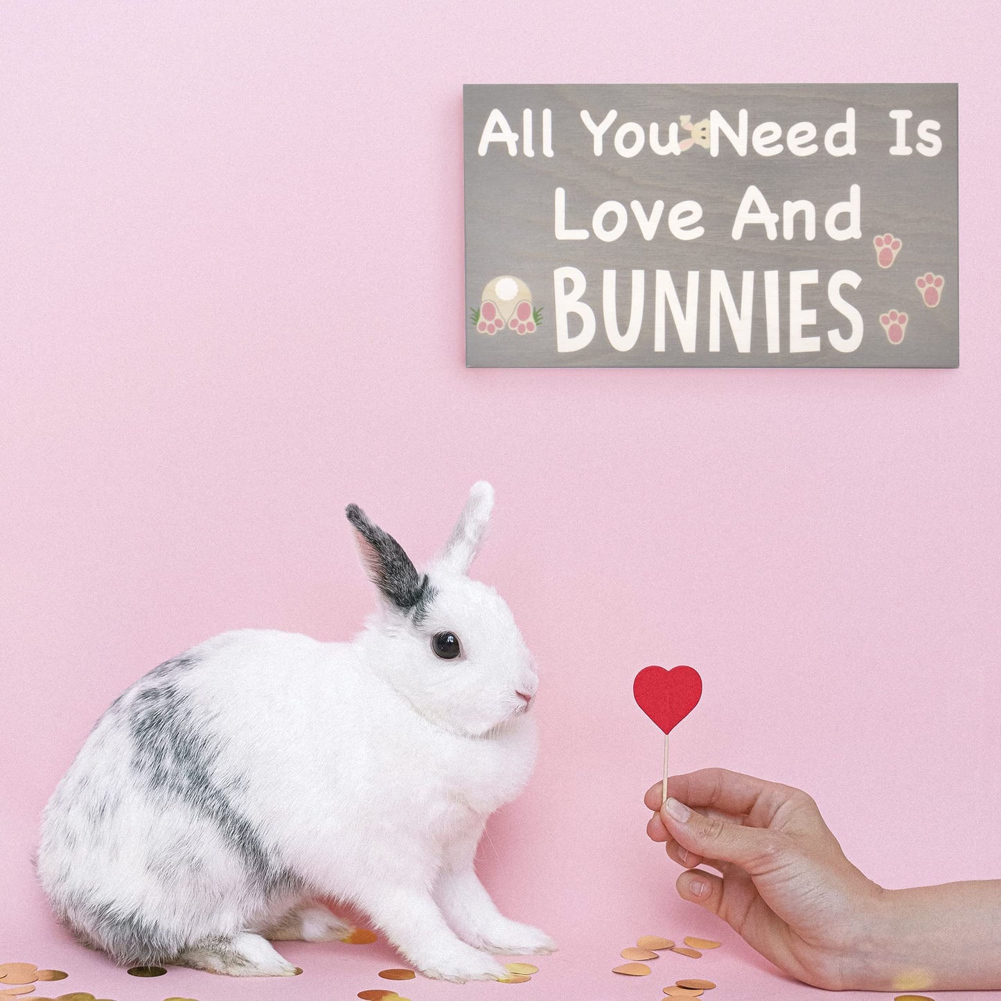 All You Need is Love and Bunnies Sign
