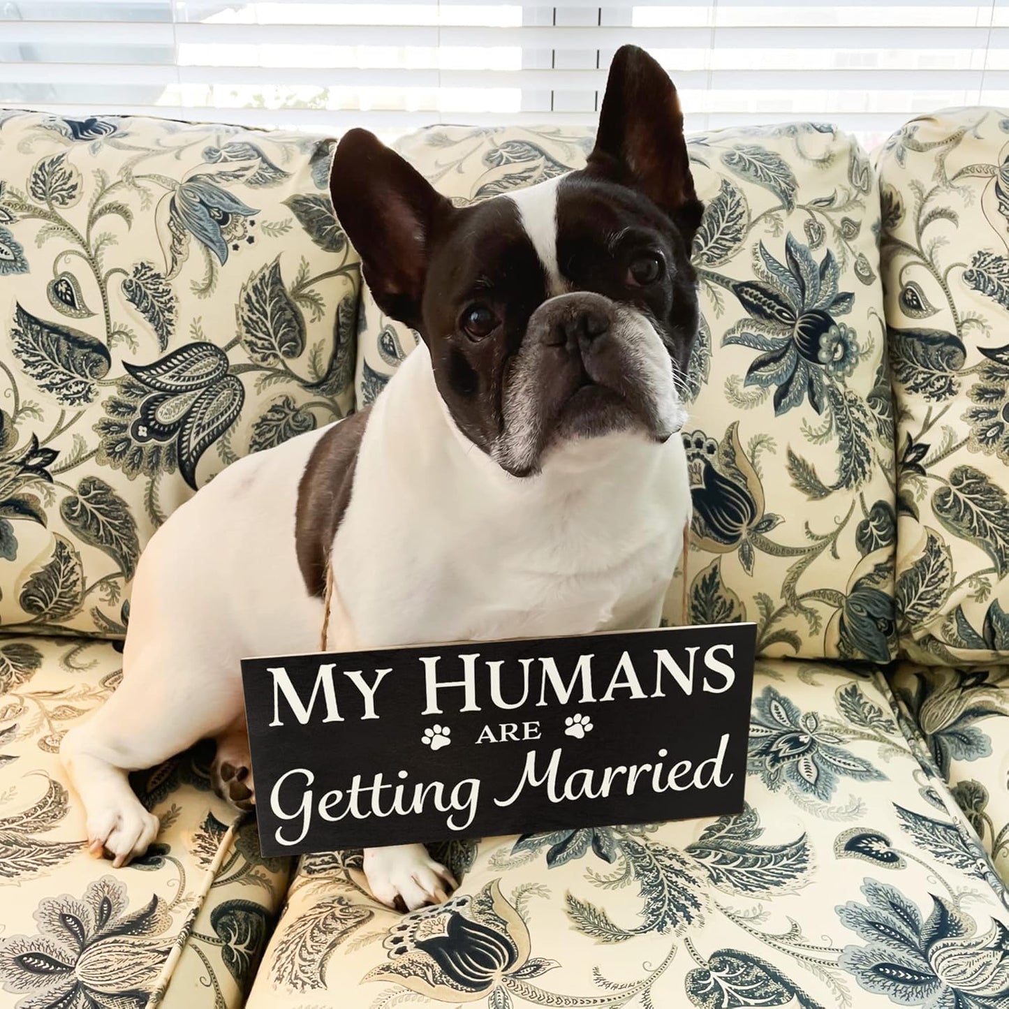JennyGems Engagement Gift, My Humans Are Getting Married Dog Sign, Wedding Photo Prop, Engagement Announcement, Save the Date, Black