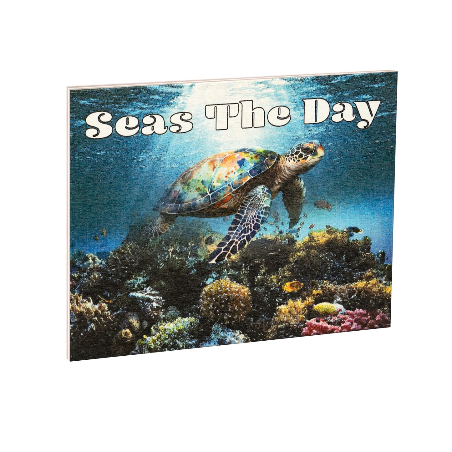 JennyGems Sea Turtle Decor, Ocean Theme Wall Art, Turtle Gifts, Wooden Beach Sign, Made in USA