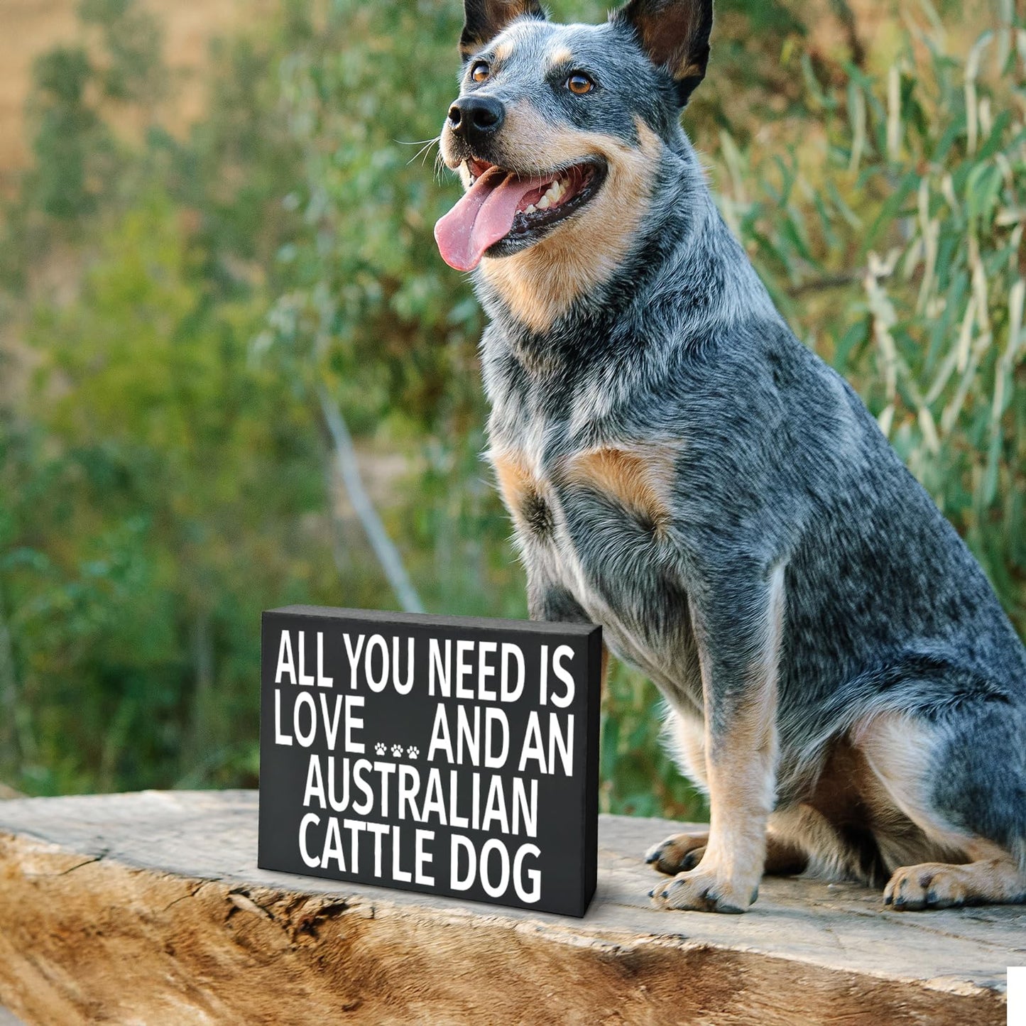 All You Need Is Love and an Australian Cattle Dog Wooden Sign