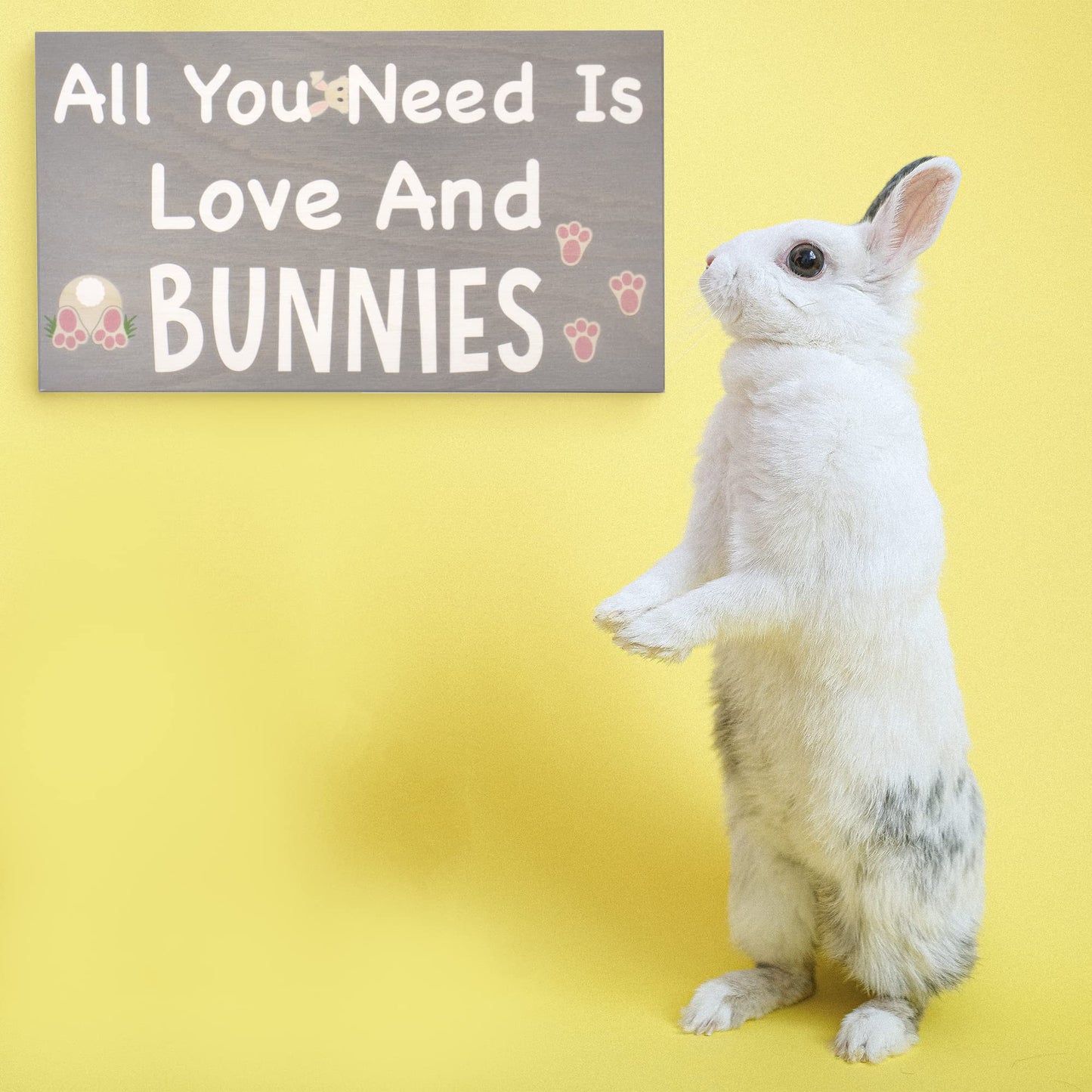All You Need is Love and Bunnies Sign