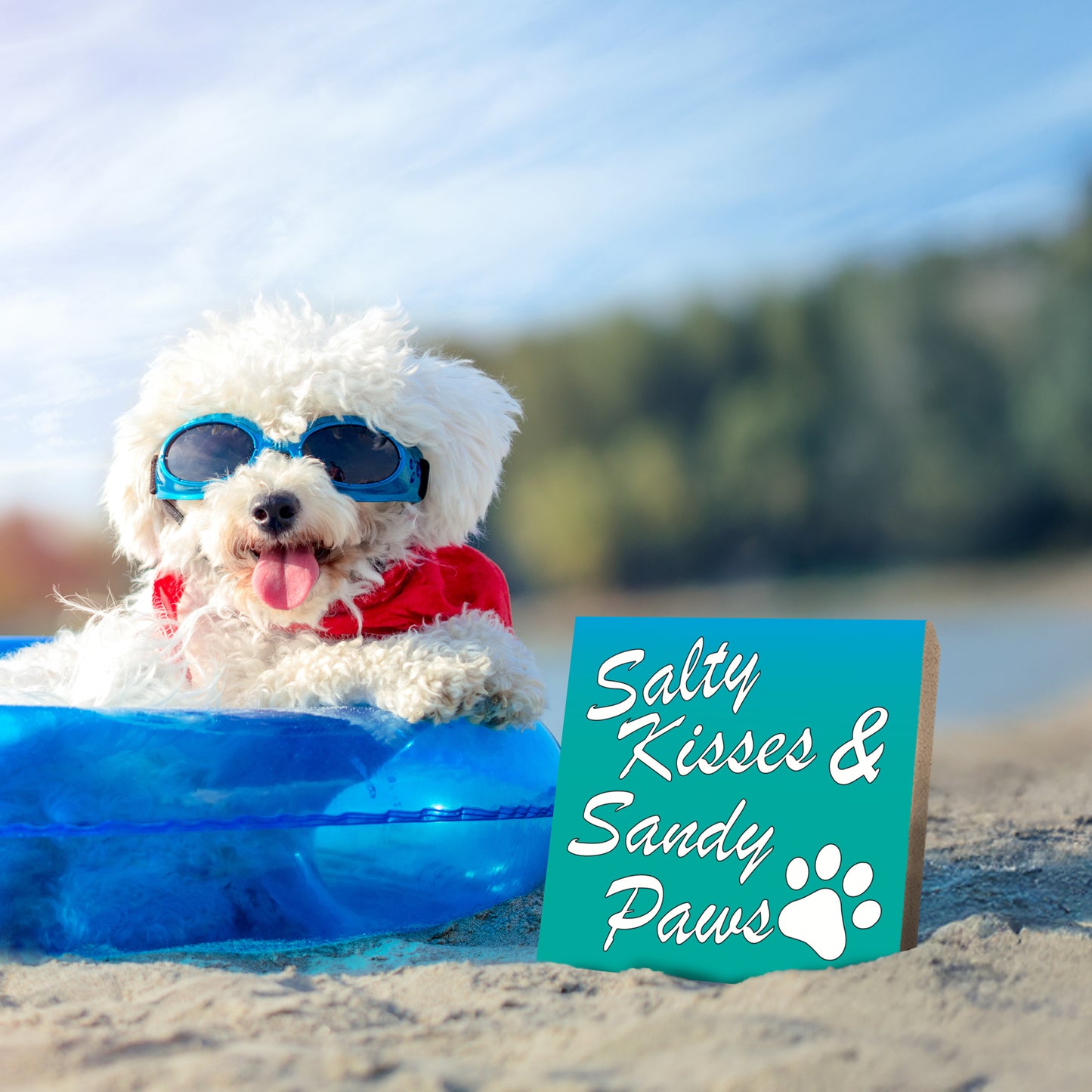 Salty Kisses Sandy Paws Wooden Sign