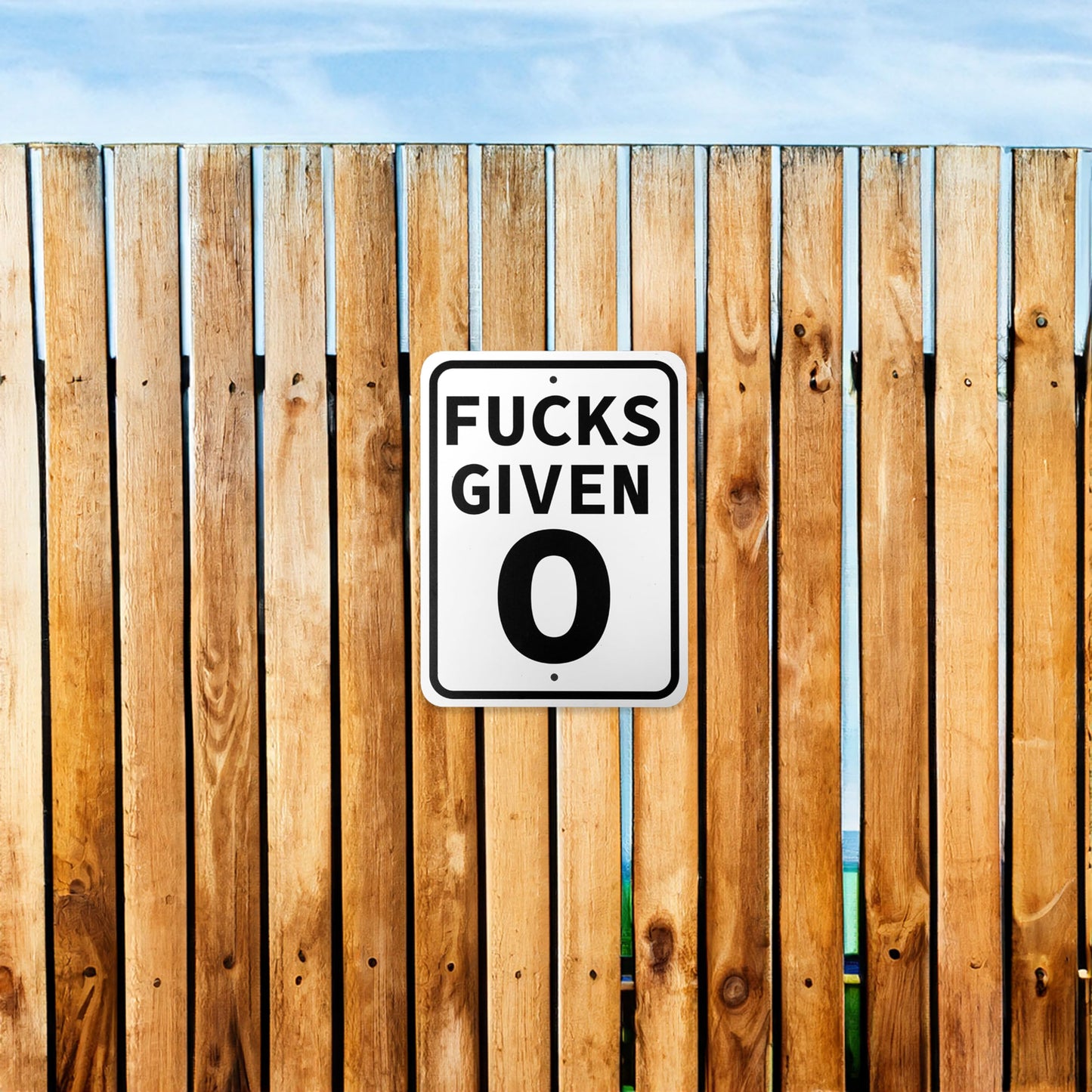 Fuck Around and Find Out Metal Indoor Outdoor Sign