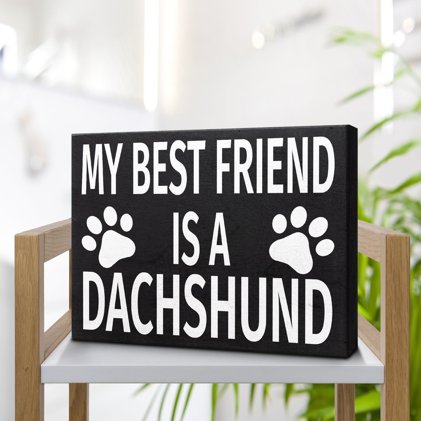 JennyGems Dachshund Dog Signs, Doxie Dachshund Wiener Dog Gifts, My Best Friend is a Dachshund Wooden Box Sign, Dachshund Dog Lover Gift Signs, Doxie Decor, Wiener Dog Stuff, Farmhouse Decor