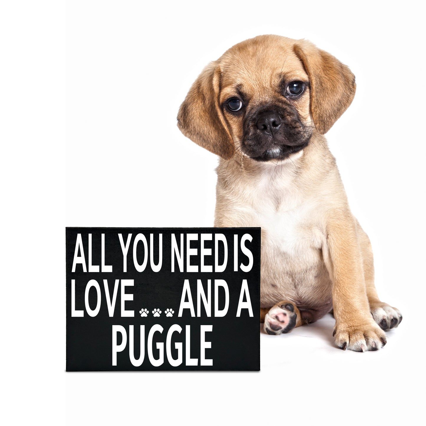 All You Need is Love and A Puggle Wood Sign