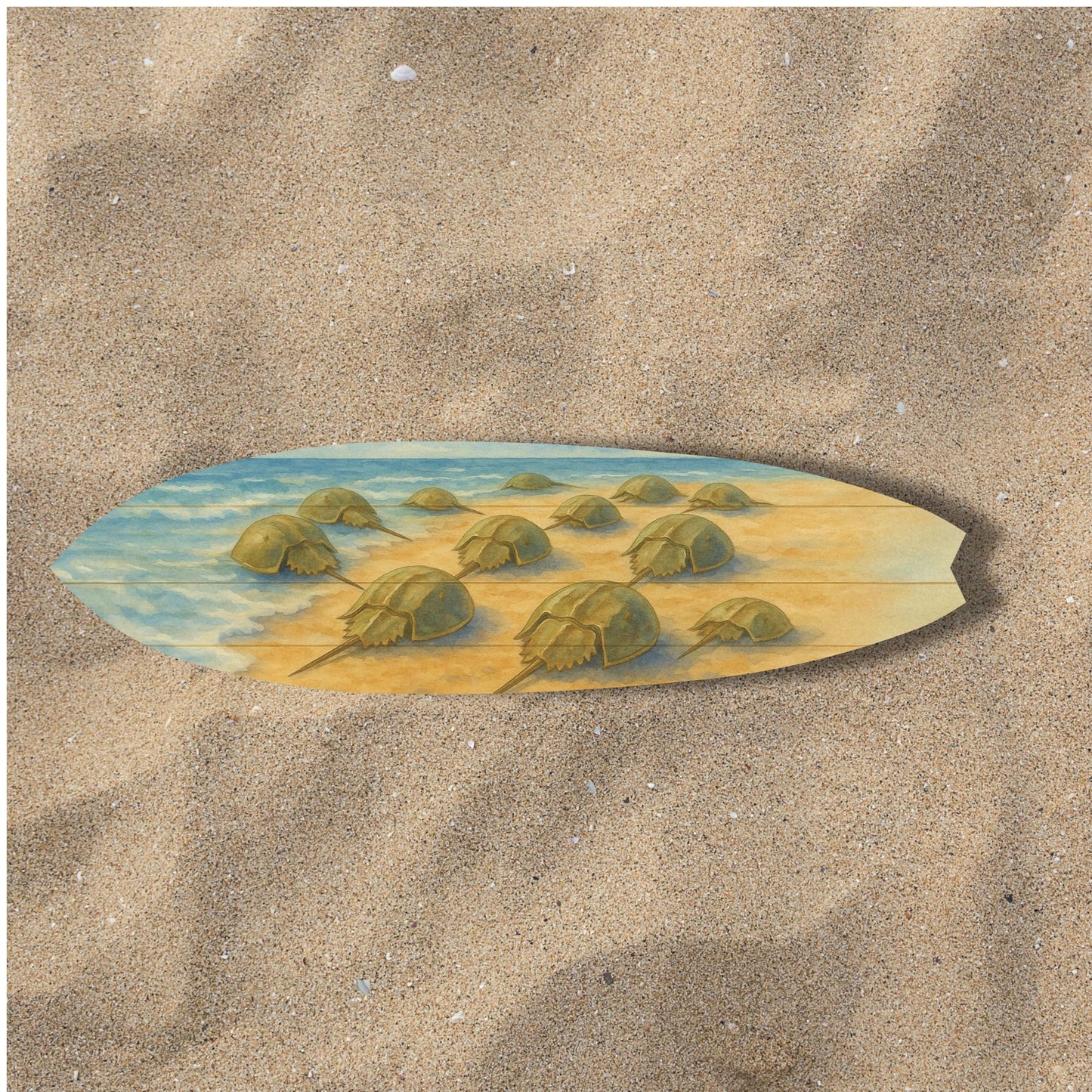 Four Foot Horseshoe Crab PVC Surfboard Wall Art