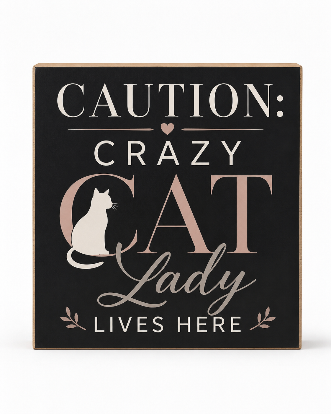 Caution Crazy Cat Lady Lives Here Sign