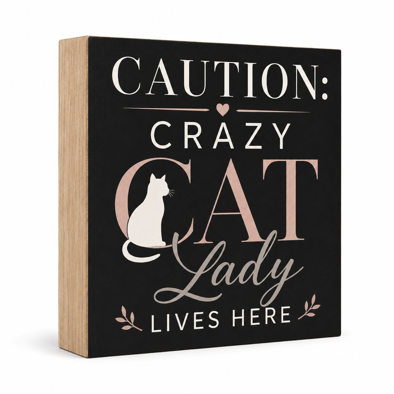 Caution Crazy Cat Lady Lives Here Sign