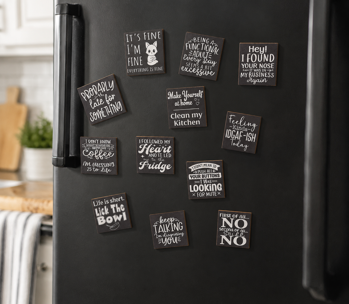 Funny Magnet Series