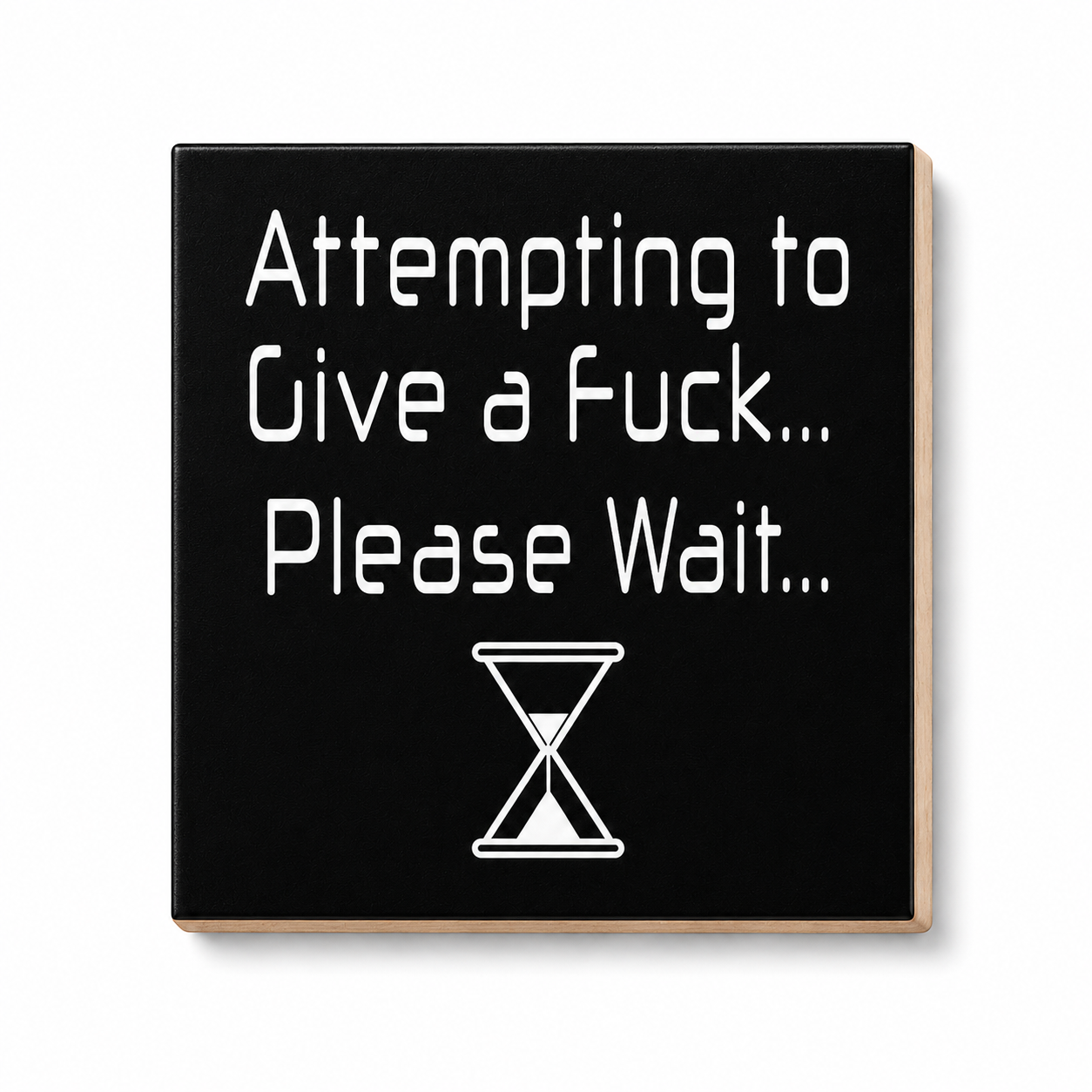 Funny Magnet Series