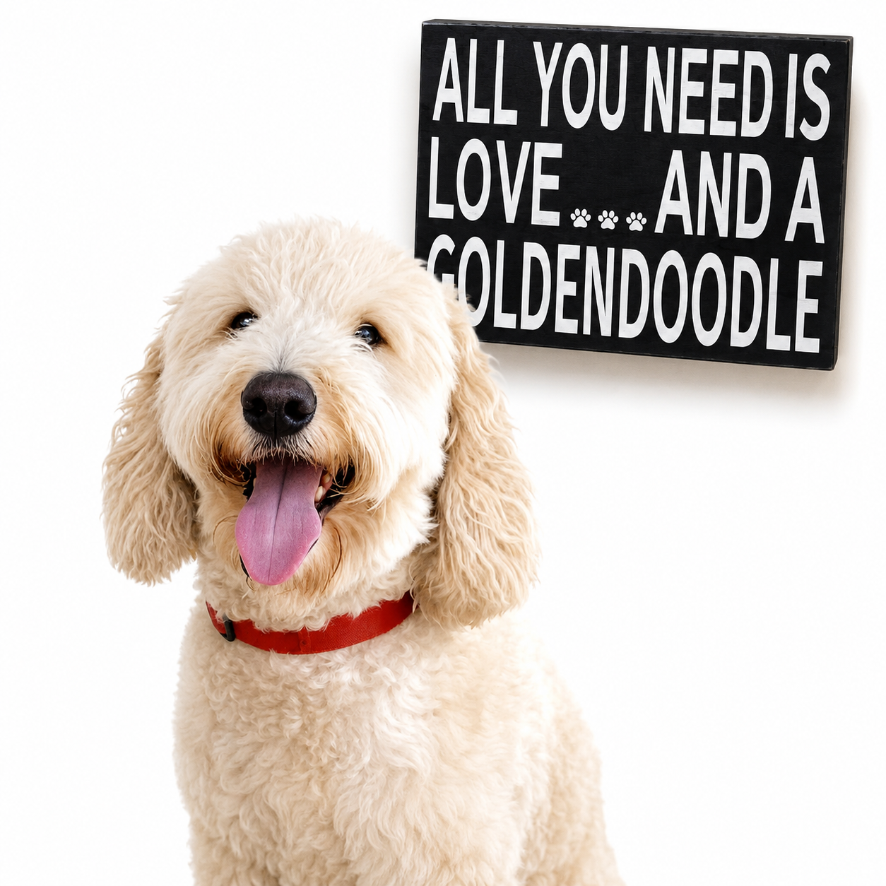All You Need Is Love And A Goldendoodle Sign
