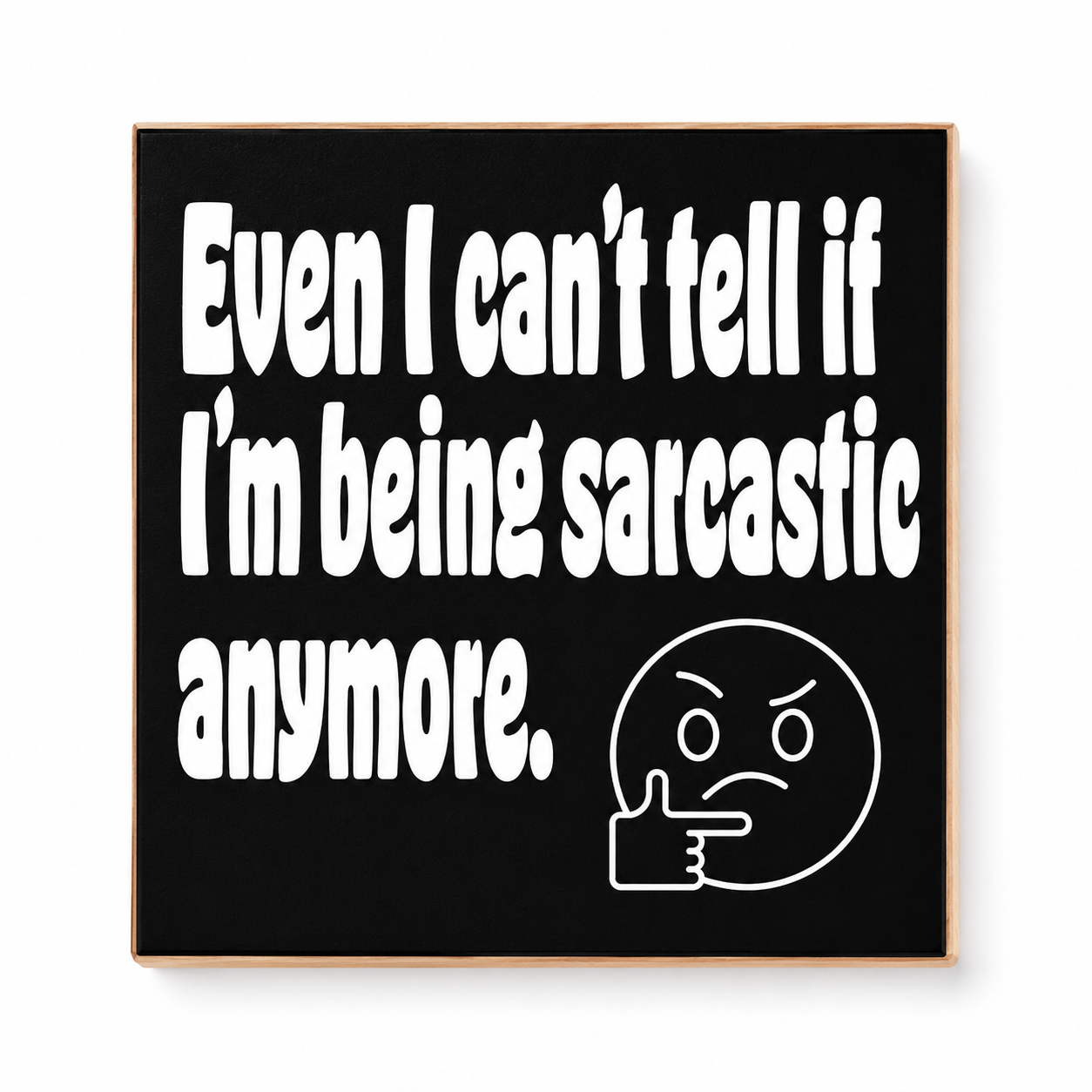 Funny Magnet Series