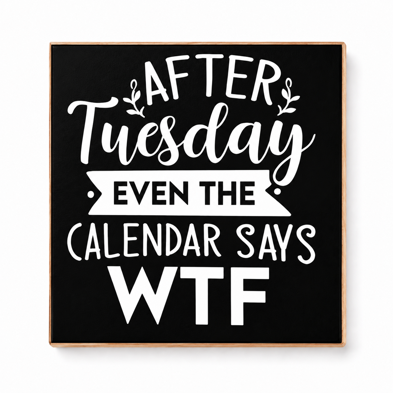 Funny Magnet Series
