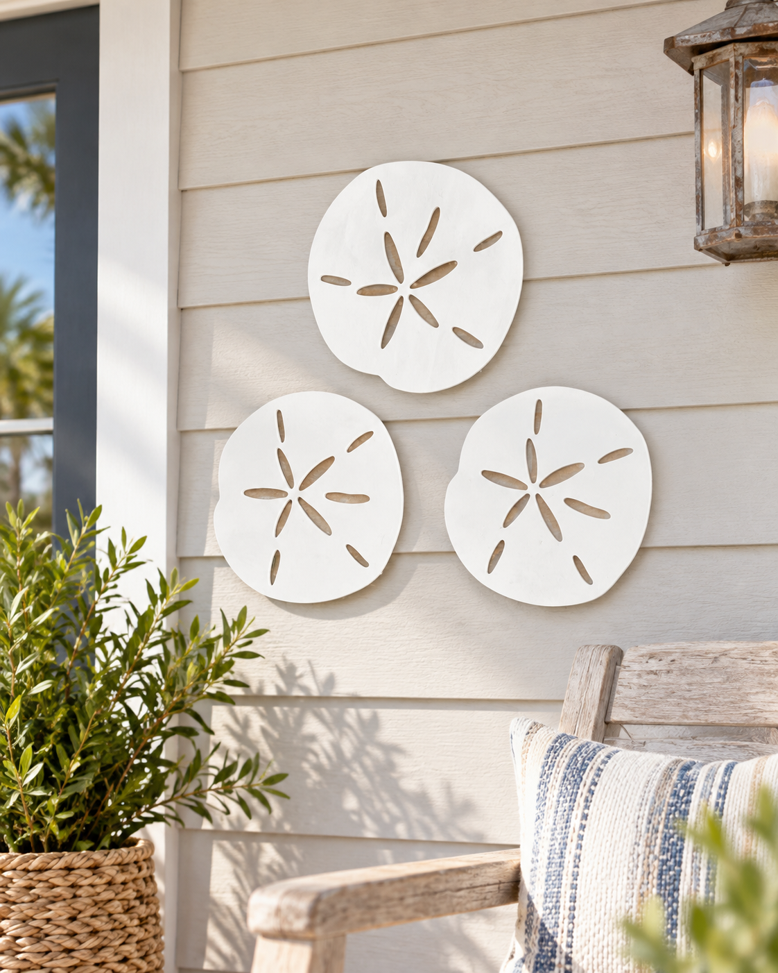 PVC Sand Dollar Set: Weatherproof Coastal Wall Art
