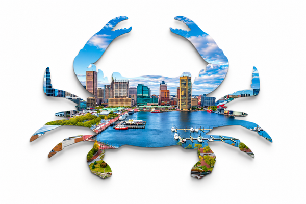 Crab Collection - Baltimore Maryland