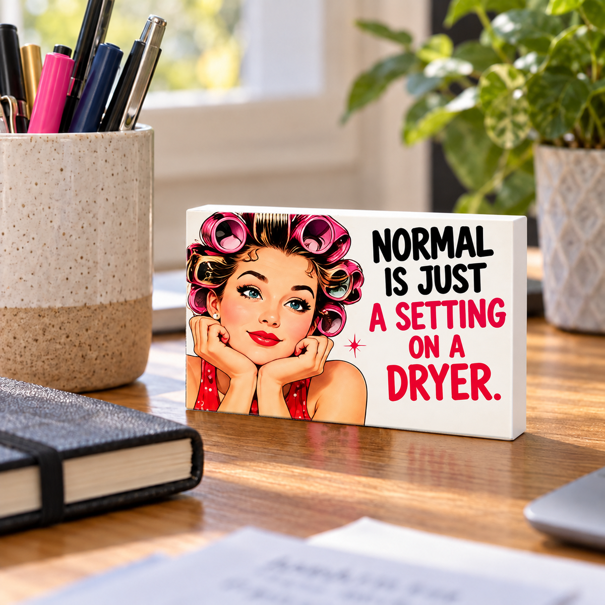 Normal Is Just a Setting on a Dryer mini sign standing on a desk with white PVC edges.