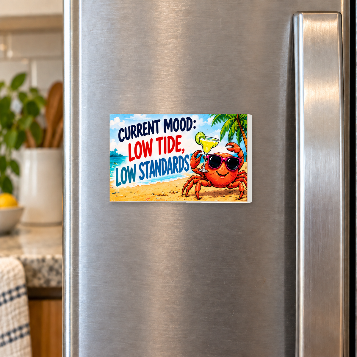 Current Mood Low Tide Low Standards rectangular magnet shown front-facing on a refrigerator.
