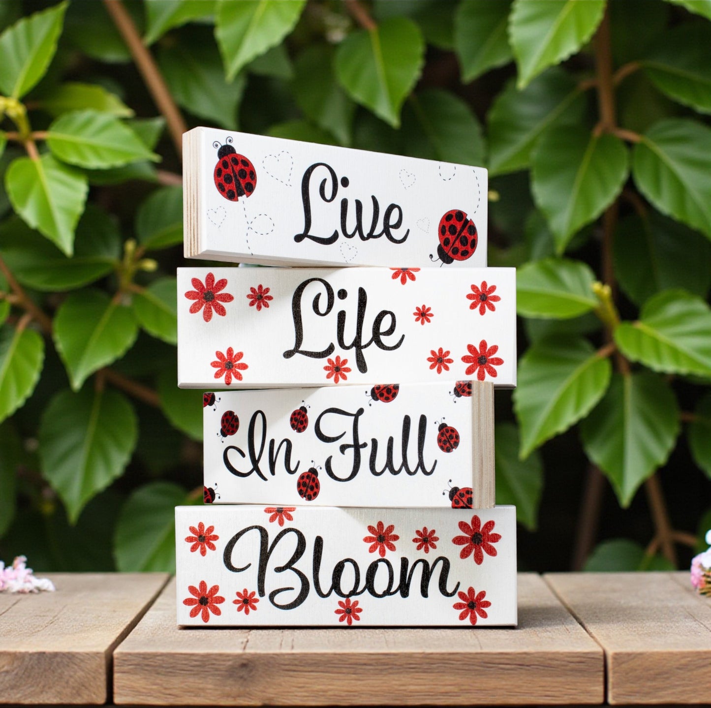 Live Life in Full Bloom, Spring Decor, Ladybugs Theme