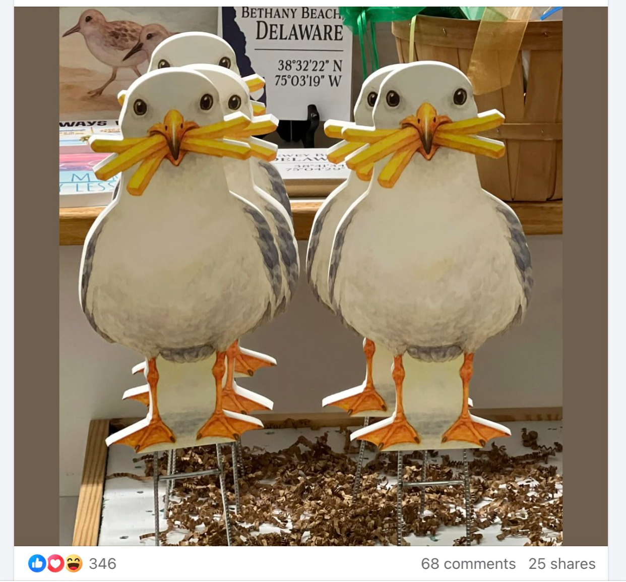 Sully and Sally Seagull Yard Signs