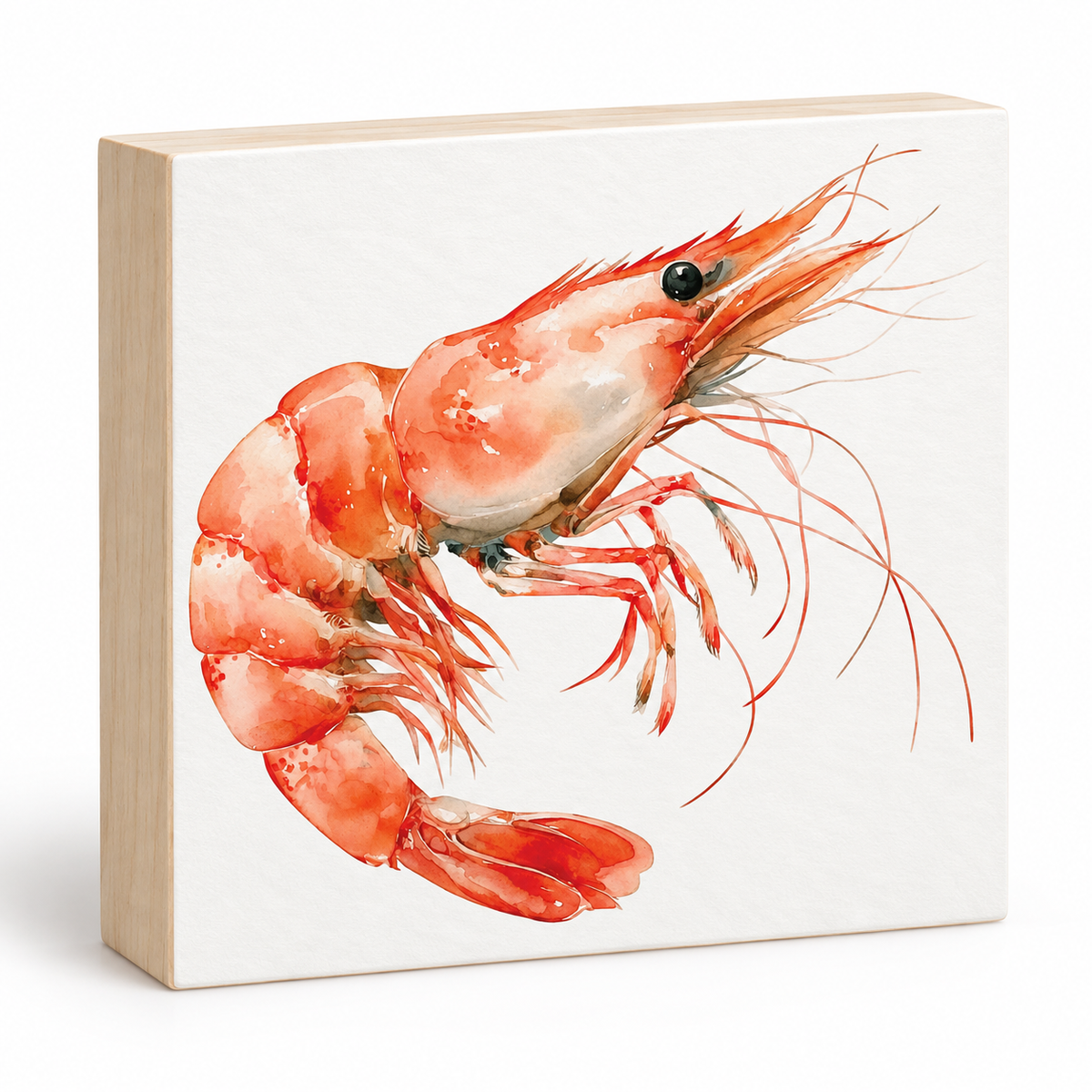 Shrimp Mini Art Block
