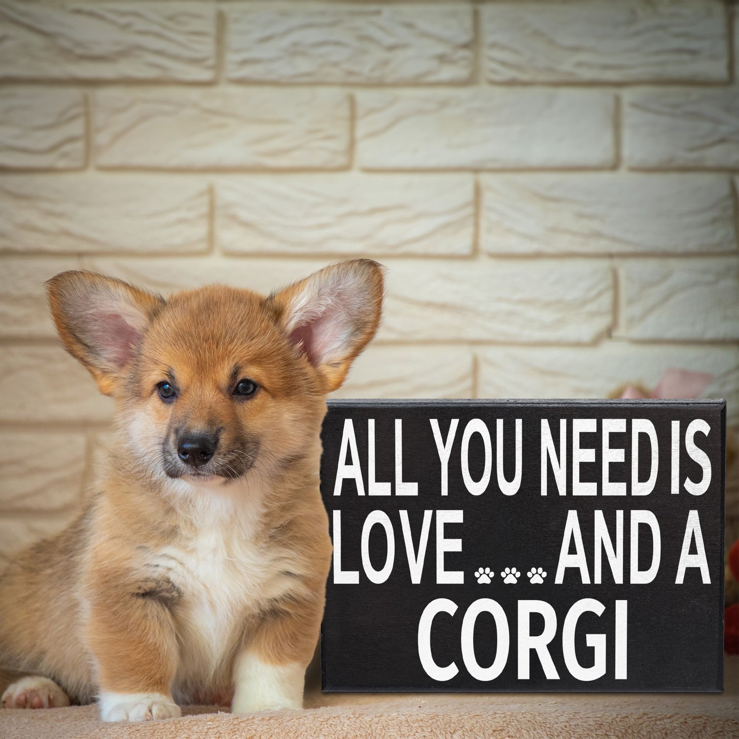 All You Need Is Love And A Corgi - Christmas Corgi Gift, Funny Corgi Decor Sign, Corgi Lover Holiday Wall Art, Made in USA, 8x6 Inches