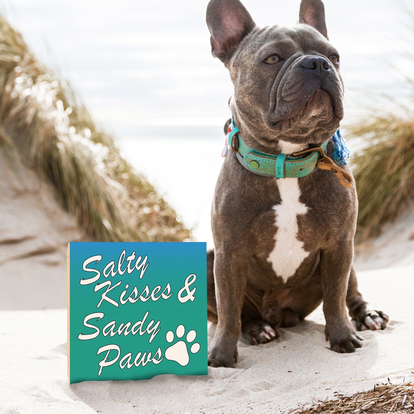 Salty Kisses Sandy Paws Wooden Sign