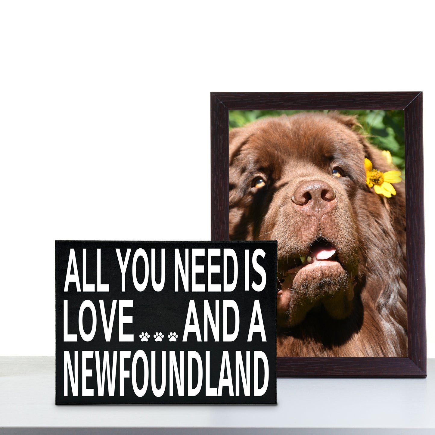 All You Need is Love and a NewFoundland Wooden Sign